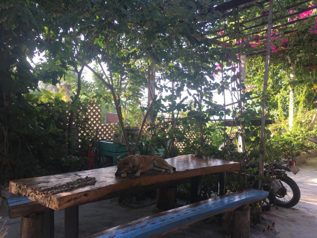 Confetti House Otel Quy Nhon Dış mekan fotoğraf