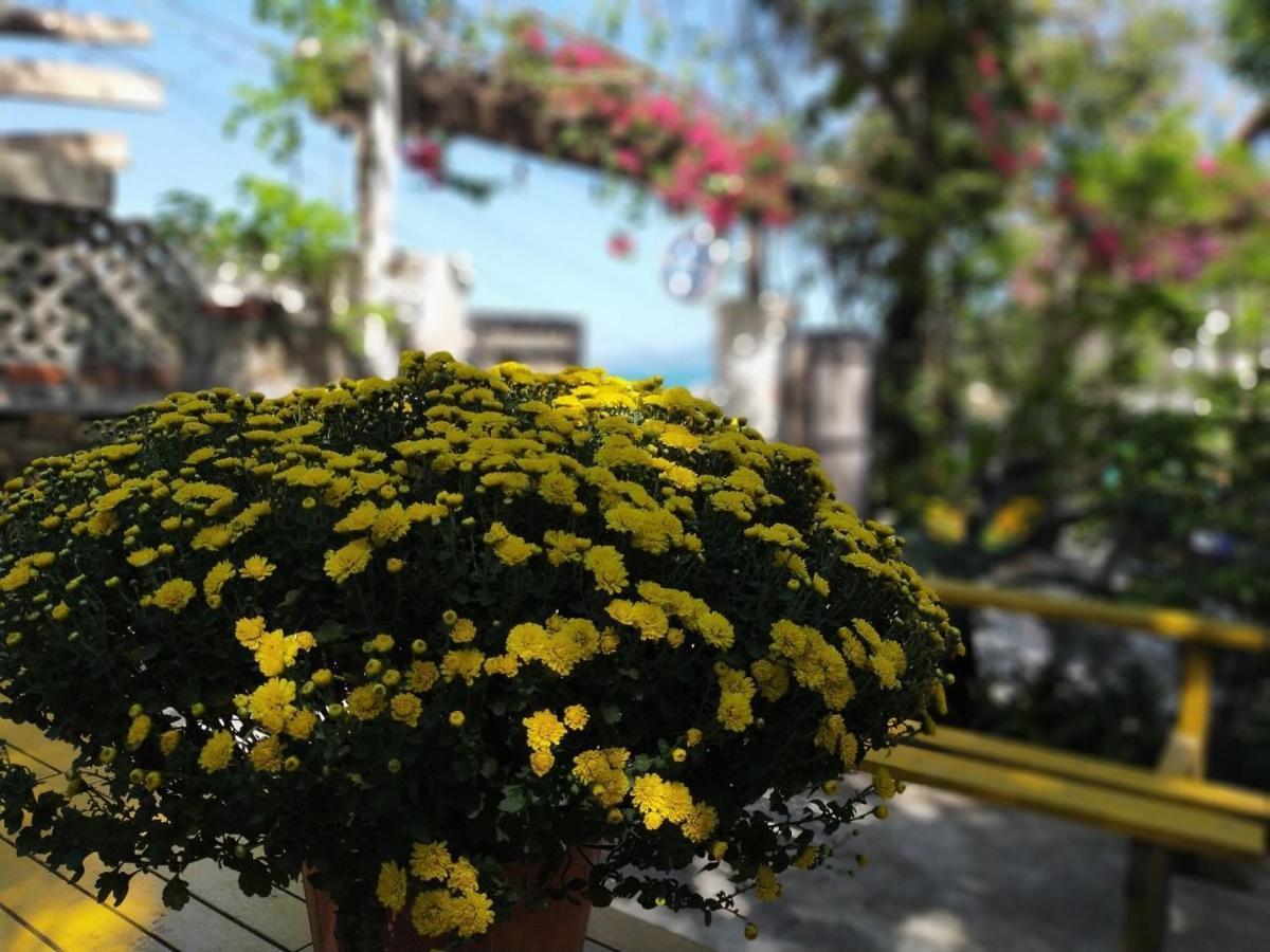 Confetti House Otel Quy Nhon Dış mekan fotoğraf